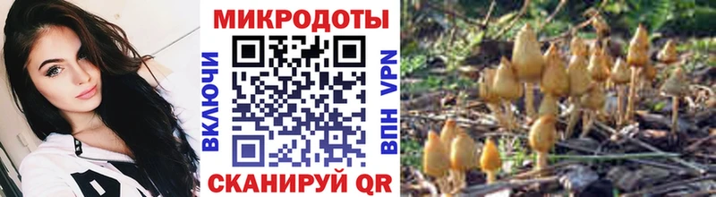 Галлюциногенные грибы Magic Shrooms  магазин продажи наркотиков  Тогучин 